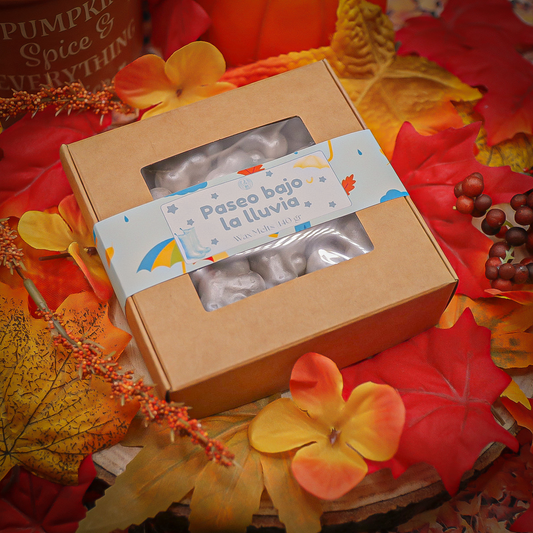 Wax Melts · Lluvia