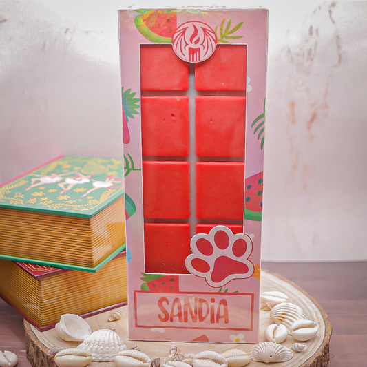 Wax melt formato tableta de chocolate grande "sandia"