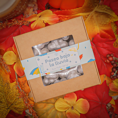 Wax Melts · Lluvia