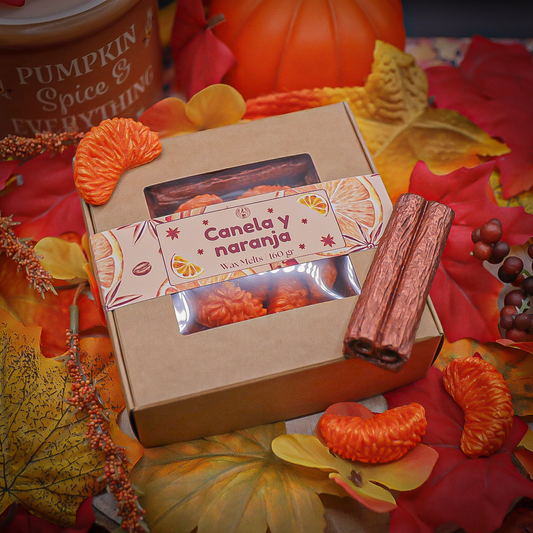 Wax Melts · Naranja y Canela